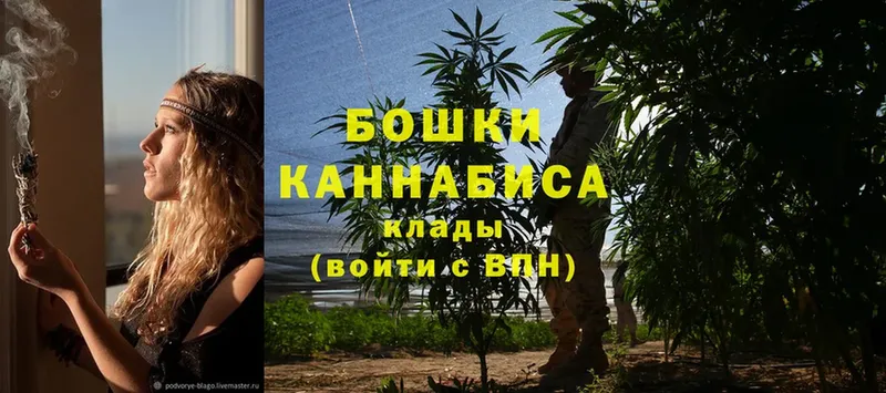 Канабис OG Kush  Владивосток 